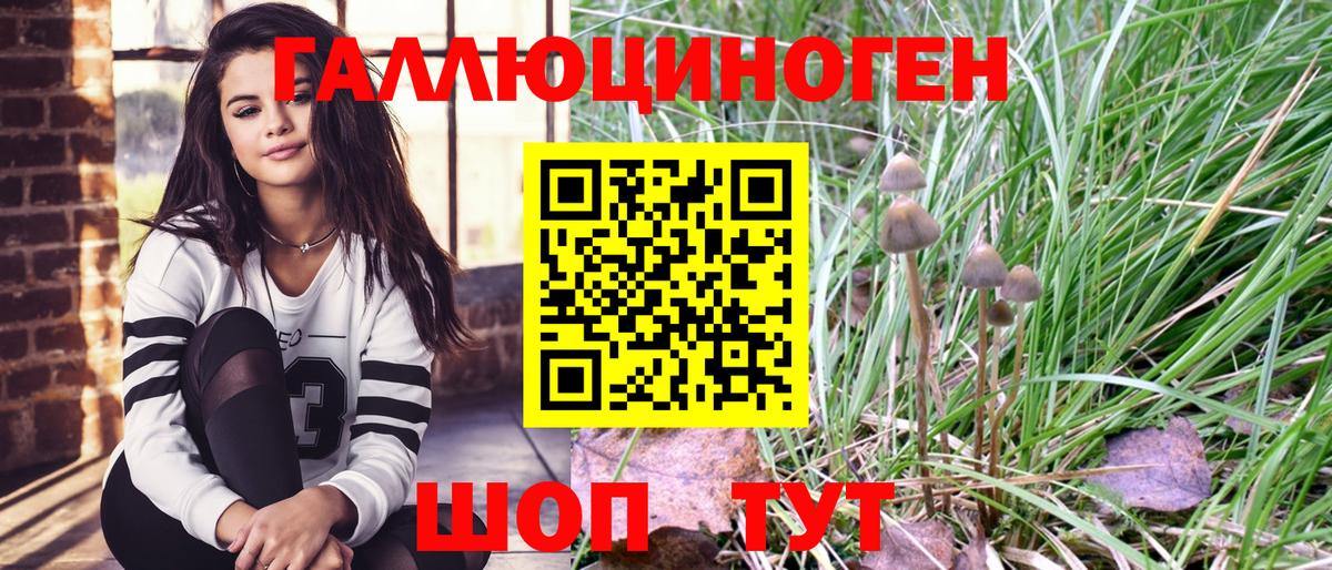 Псилоцибиновые грибы GOLDEN TEACHER Добрянка