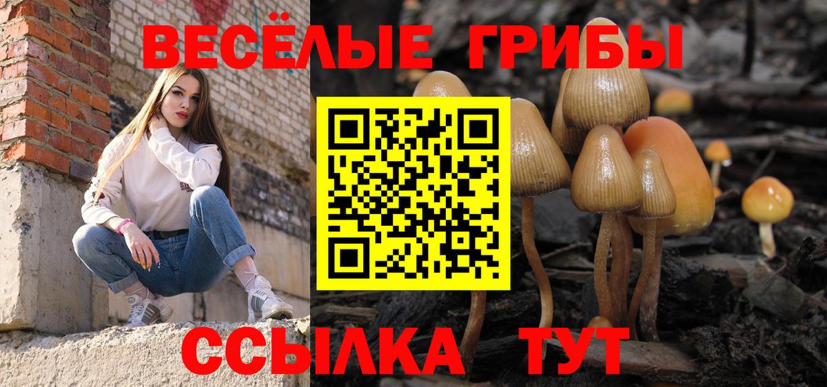 Добрянка  наркота  Вход с VPN  Галлюциногенные грибы Psilocybine cubensis 